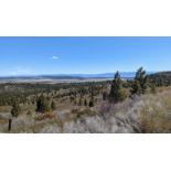 Three Contiguous Lots in California Pines Community!