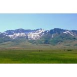 40 Serene Acres in Elko County, NV!