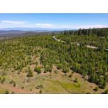 Peaceful California Retreat: Nearly an Acre!