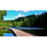 Own a Lot in the Pacific Northwest: Grays Harbor, Washington!