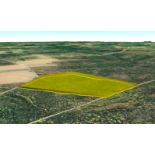 Aroostook County: 49.9 Acres of Maine Wilderness!