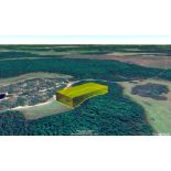 Serene 1.25-Acre Wooded Lot Near Polk City, Florida!