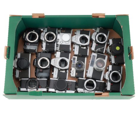 A Selection of Minolta Cameras, for parts or repair, all have a variety of issues, a lot.