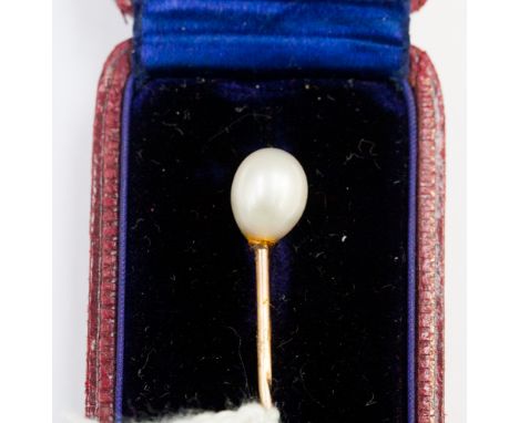 A cravat/stick pin gold with natural pearl finial, in original box.