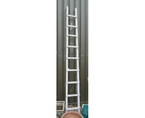 French fruit pickers ladder 
