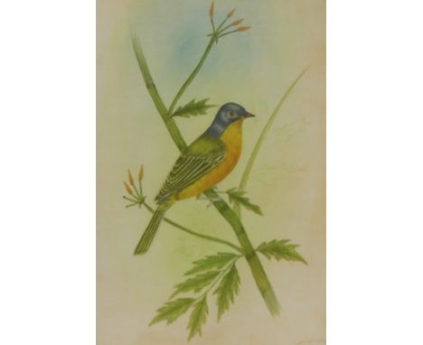 Two paintings on fabric of birds and a colour print after Keith Shackleton of antelope and three further prints (6) 
