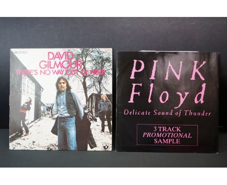 Vinyl - Pink Floyd - 2 rare items to include Pink Floyd Delicate Sound Of Thunder promotional sampler 12" (12PF 1), EX/ EX+ (