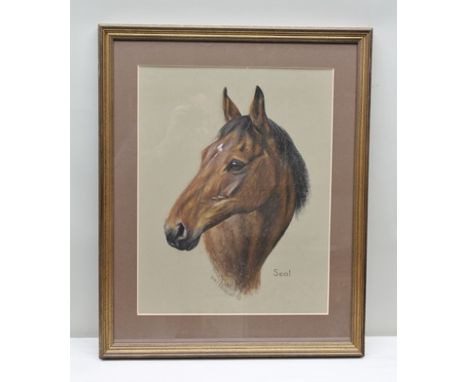 MARY BROWNING "Seal", an equine portrait study, a Pastel Drawing, signed, inscribed and dated (19)92, 54cm x 43cm mounted in 