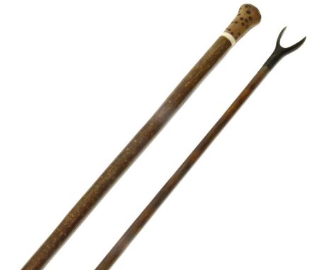Walking cane, hazel shaft, Australian banksia nut handle with stag horn collar, length 99cm (39"), also a stalking or scope s