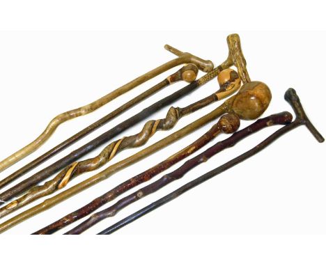 Walking stick dated 2005 GTM, T-shaped handle, two others probably by the same maker, also five other walking sticks with roo