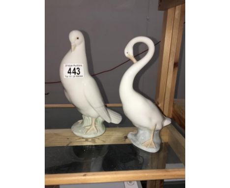 A NAO dove and a NAO swan