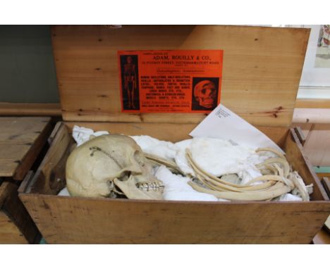 A part human skeleton including skull, in Adam Rouilly &amp; Co box with John R Spears London Medical College label