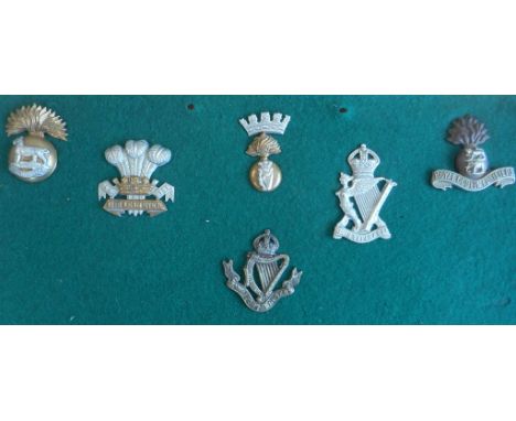Six Irish regimental cap badges mounted on a display board: the Royal Munster Fusiliers (bimetal); the Leinster Regiment (bim