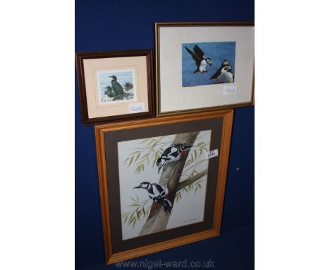 A glazed and framed Watercolour of Woodpeckers signed Shirley Anne Webb, a small picture of Shags (limited edition 18/300) si