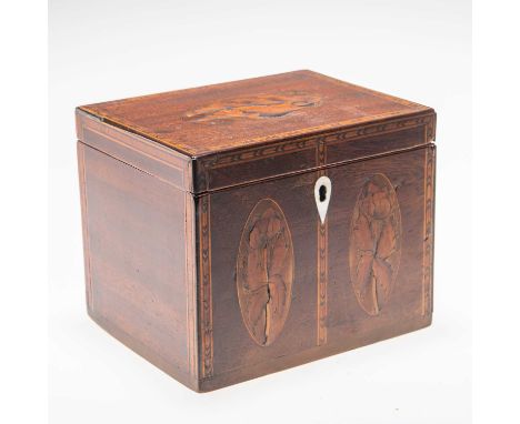 AN EARLY 19TH CENTURY INLAID MAHOGANY TEA CADDY rectangular form, the hinged lid decorated with a marquetry conch shell, the 