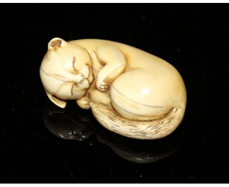 An early 20th Century Japanese carved ivory netsuke as a sleeping cat, signed to base, 15 cm long