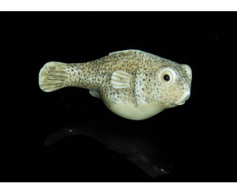 An early 20th Century Japanese carved ivory netsuke as a puffa fish, signed to base, 6 cm long CONDITION REPORTS All over var