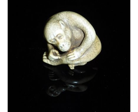 An early 20th Century Japanese carved ivory netsuke as a seated monkey, signed to base, 3.5 cm