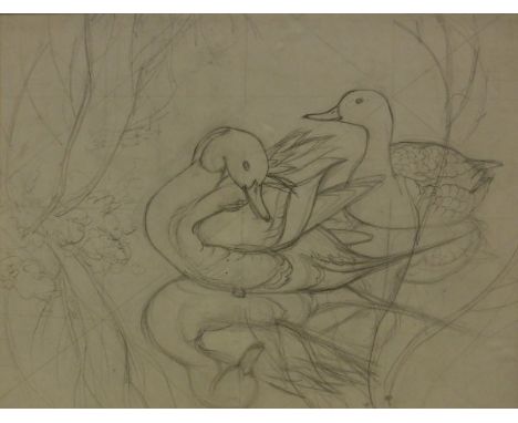 ATTRIBUTED TO C.F. TUNNICLIFFE (1901-1979) "Ducks amongst foliage with reflection in foreground", pencil sketch, unsigned, in