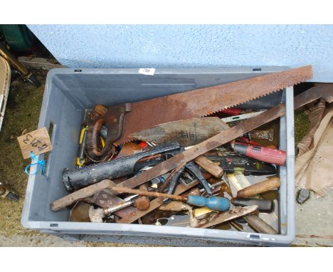 A plastic tray of tools:  hammers, screwdrivers, brick trowel, spanner etc.