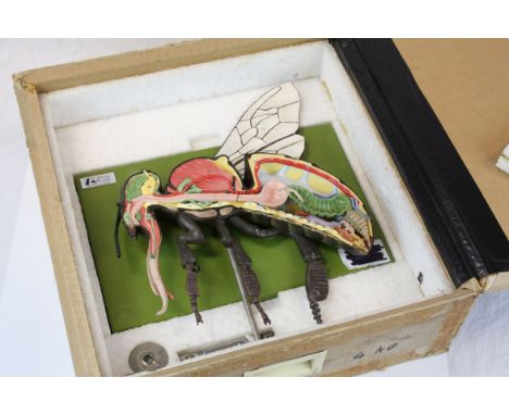 Adam Rouilly Anatomical Model of a Worker Bee with Stand, model no. B20068.2, contained in it's original box