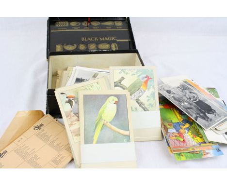 Box of Vintage Postcards including over Forty Saucy Seaside Postcards, large quantity of P. Sluis Bird Postcards, together wi