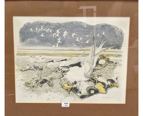 Michael Warren (British, b. 1938) Sandwich Tern, Scolt Head, Norfolk, lithograph, numbered 154/350, signed in pencil, 42 x 54