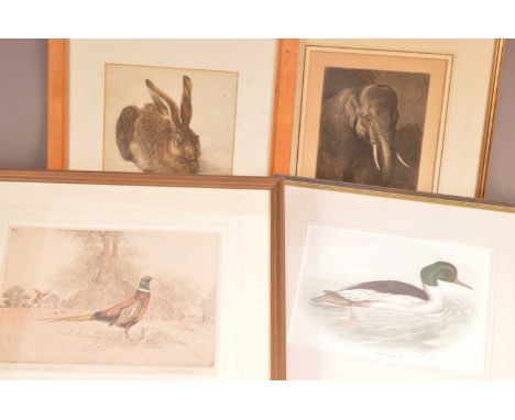 (ar) Henry Wilkinson RE ARCA (1921-2011) "Pheasants", original etching signed and dated 1955. Together with a watercolour of 