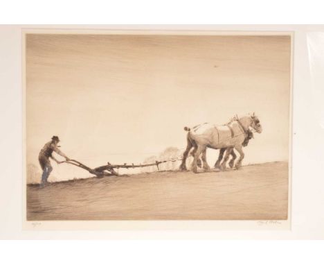 Cecil Aldin RBA (1870-1935) "Ploughing", etching and dry point. Signed by the artist in pencil lower right and numbered "19/1