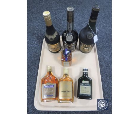 A tray of seven bottles of assorted cognac and brandy to include Martel, Napoleon, Three Barrels etc 