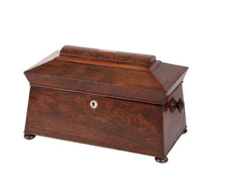 REGENCY ROSEWOOD TEA CADDY of sarcophagus shape with side handles, with fitted interior, on bun feet, 20cm high x 33cm wide