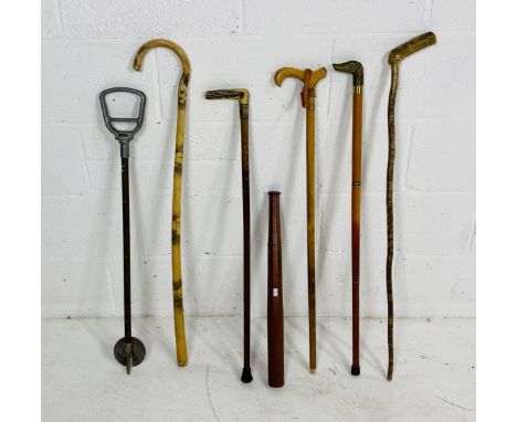 A small collection of walking sticks including one with a silver mount, along with a shooting stick etc