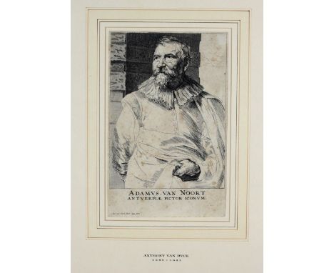 Anthony Van Dyck, (1599 - 1641)"Adamus Van Noort," engraved portrait, approx. 24cms x 15cms (9 1/2" x 6"), inscribed "Amt. Va