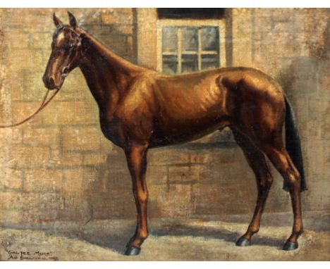 A.V. Sullivan, Irish 19th Century"Galtee More," O.O.C., Portrait of a Chestnut Horse in a Yard, approx. 36cms x 46cms (14" x 