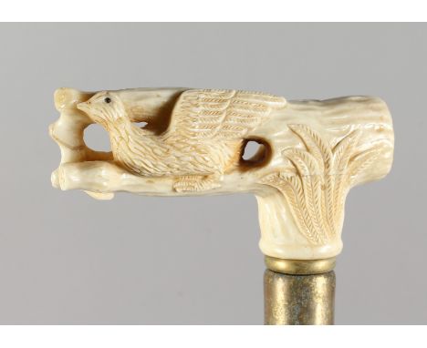 A WALKING STICK, the bone handle carved as a bird on a branch. 34ins long.