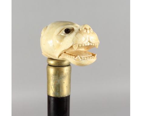 A WALKING STICK, the bone handle carved as a dog's head. 35ins long.
