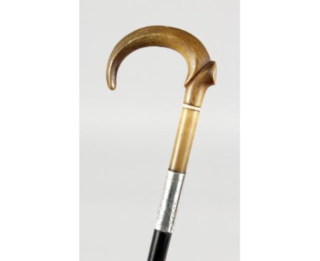 A VICTORIAN RHINO HANDLE WALKING STICK with engraved silver band. 30ins long.
