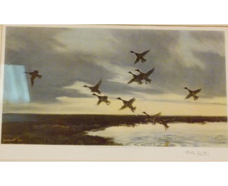 Mallards going to sea, Peter Scott signed print with blind stamp    CONDITION REPORT:  Item appears undamaged 