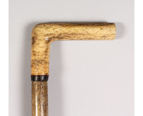 A SPECKLED NARWHAL TUSK WALKING STICK, Circa. 1900. 36ins long.