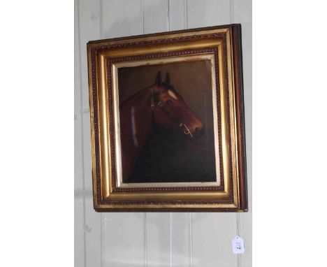 R. Slack, 1907, Horse portrait, oil on canvas, 35cm by 30cm, framed.