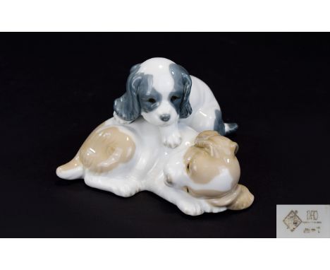 Nao by Lladro Animal Figure Group ' 2 Pups ' Resting. Size 4 x 5.5 Inches. 1st Quality and Mint Condition. 