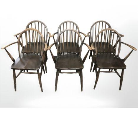 Six Ercol stained elm armchairs.