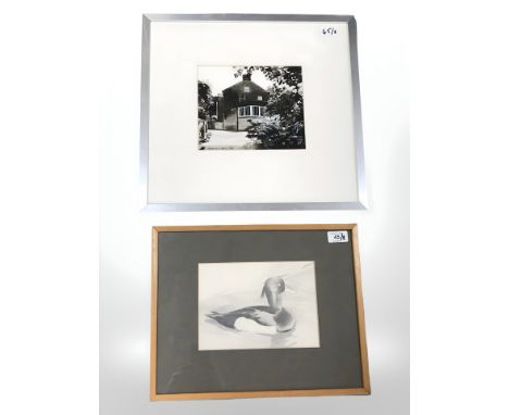 Derwent Wise (1933 - 2003) : Study of a Duck, pencil, 16 cm x 22 cm, together with a signed watercolour drawing by the same a