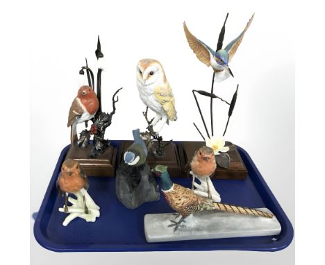 A group of bird ornaments including Beswick pheasant model 1774, robin figures by Goebel, etc.