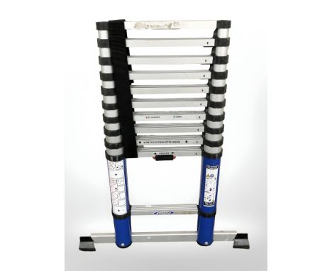 A telescopic ladder.