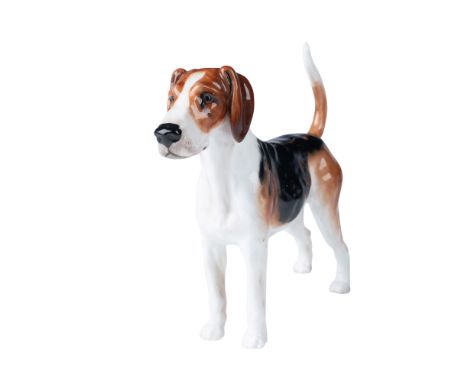 This exquisite Royal Doulton figurine depicts an American Foxhound in a lifelike standing pose. Crafted from fine ceramic, th