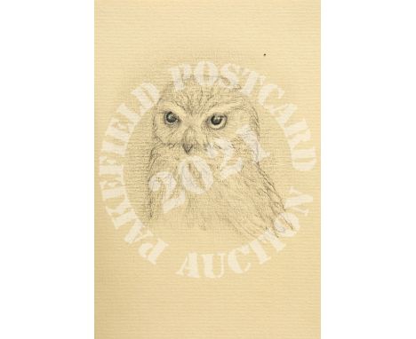 Hmmm, Time for Bed - Pencil. World Land Trust. What does that mean to me? The rescue of our great rainforests without which w