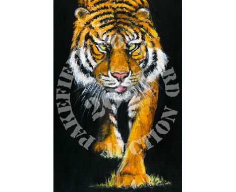 Stepping Out - Acrylic. A painting of a tiger stepping out of the dark into the light, which hopefully we are all doing when 