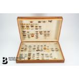 Three Wooden Collection Boxes of Butterflies