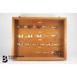 Display Case of Butterflies